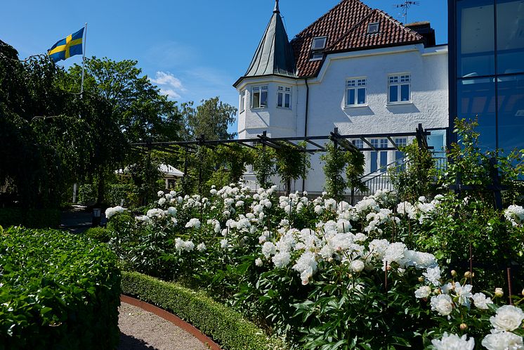 Villa Wikland, idag Kiviks hotell. Foto_ Kiviks hotell