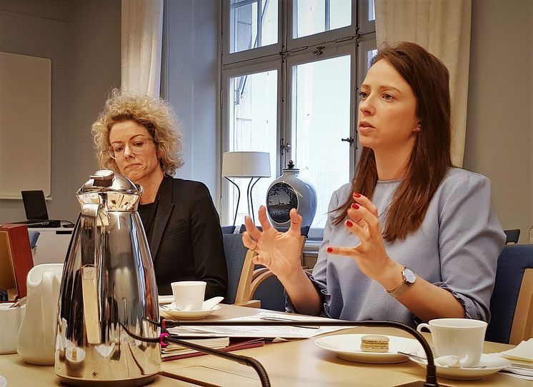 Åsa Lindhagen