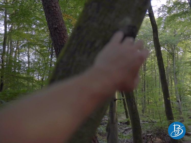 Brandenburg unplugged: Wandern im Herbst
