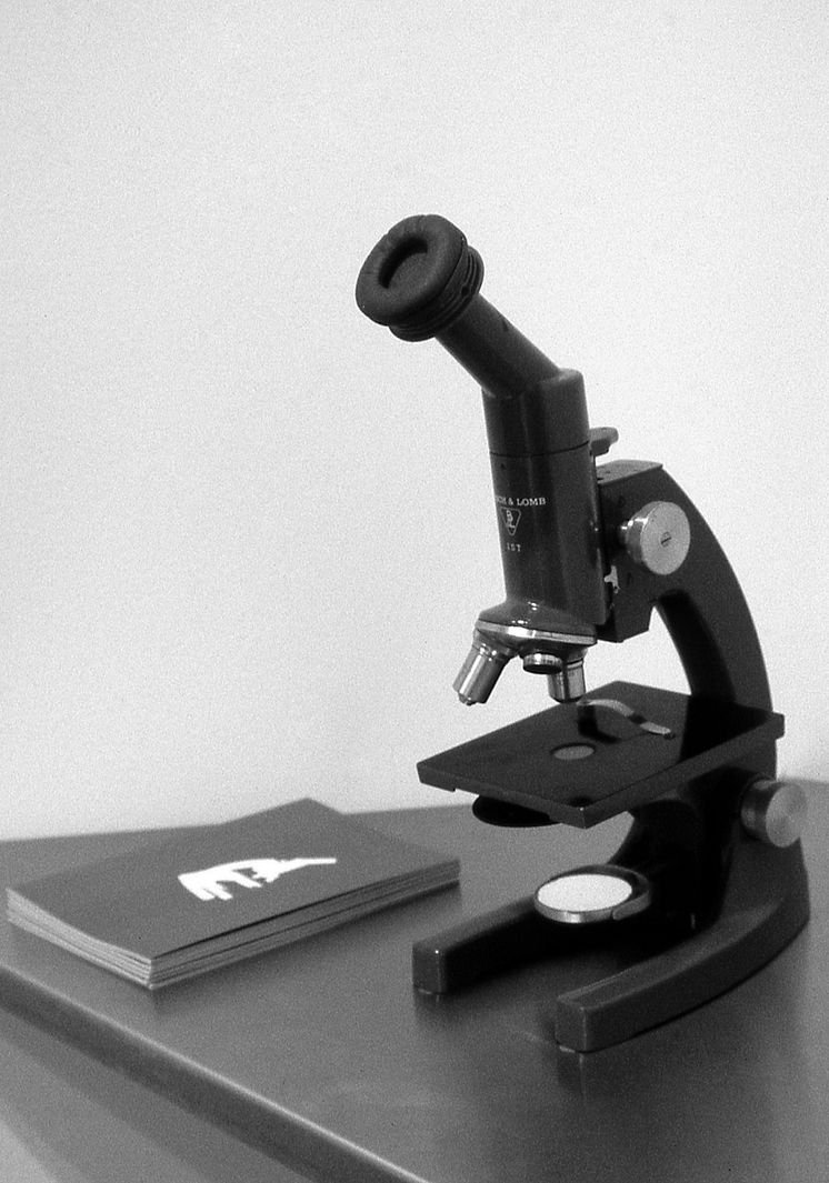 The Spiral and the Square; Natascha Sadr Haghighian, Microscope, 2006