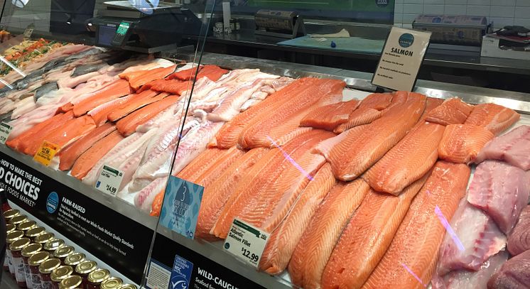 Norwegian salmon in USA.jpg