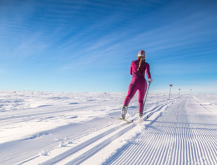 Högfjällsrundan-Storhogna-Vemdalen