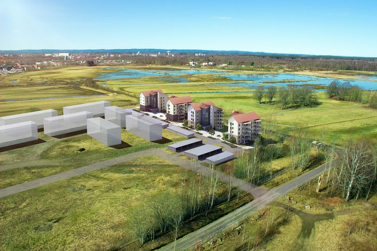 Flygbild, Enkelbeckasinen