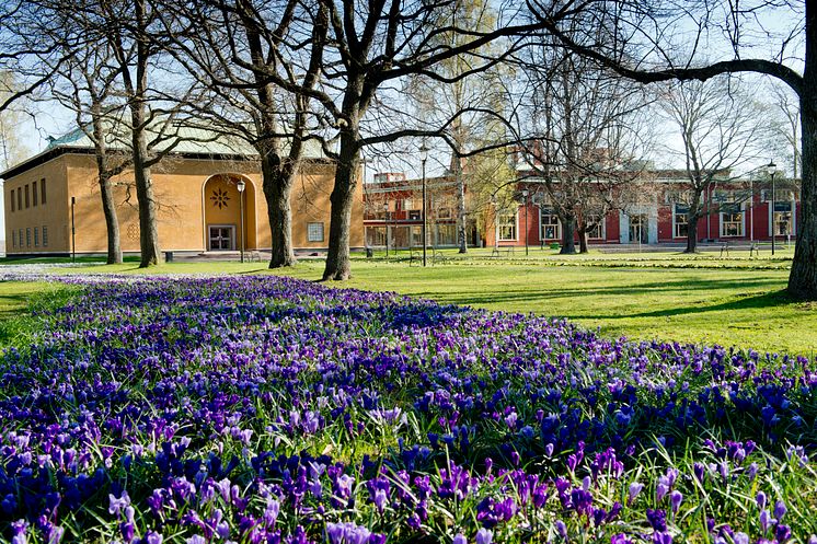 Värmlands Museum
