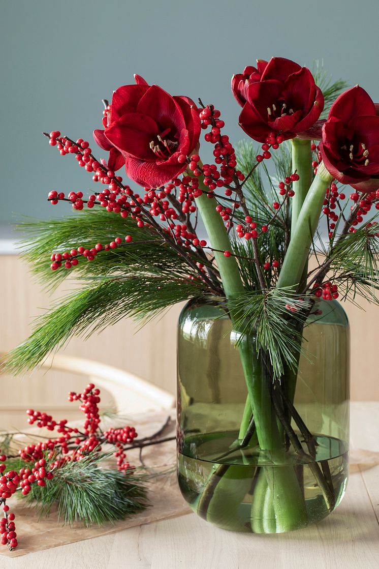 Amaryllis_Leaf vase_0623_f