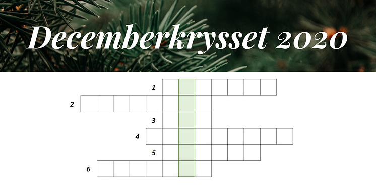 Decemberkrysset 2020 - Gällivare Näringsliv AB