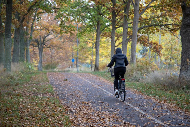genre-cykel-höst