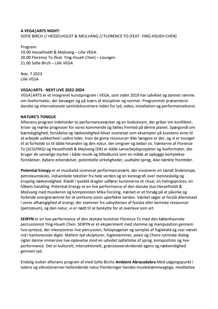 A VEGA ARTS NIGHT.pdf
