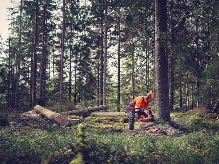 Husqvarna 564 XP_press picture 4.jpg