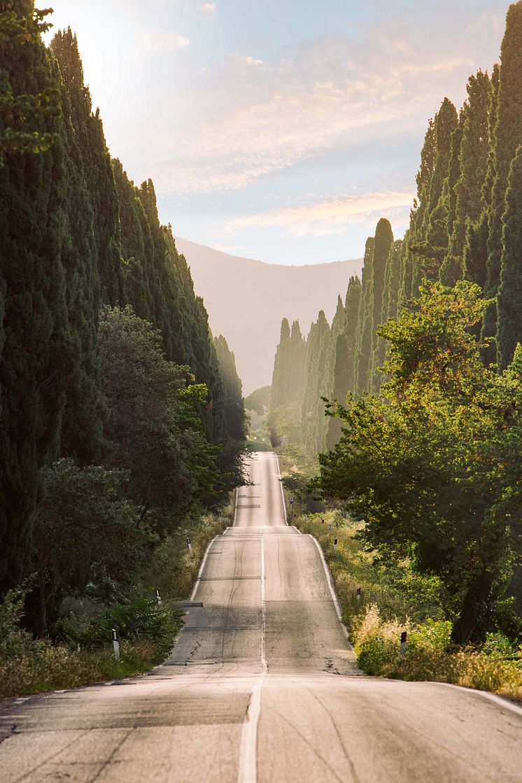 Bolgheri Boulevard_Il Viale dei cipressi (2).jpg