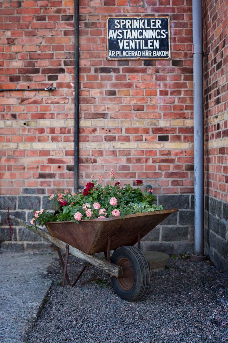 Sommarblommor Brooklyn Flowers i skottkärra