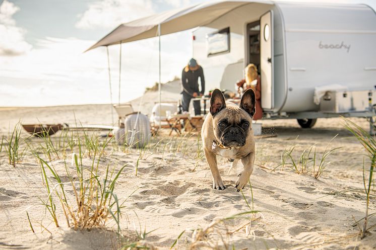 2022_ww_beachy_420_Hund_aussen_1362_BEAR_PRESSE