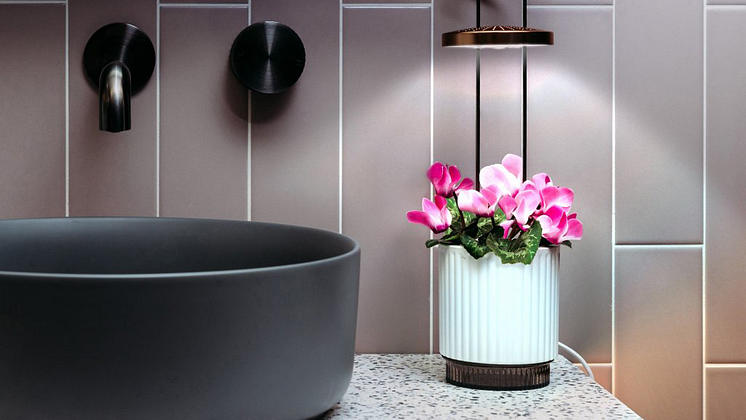 HydroVase-web-16-9-1.png