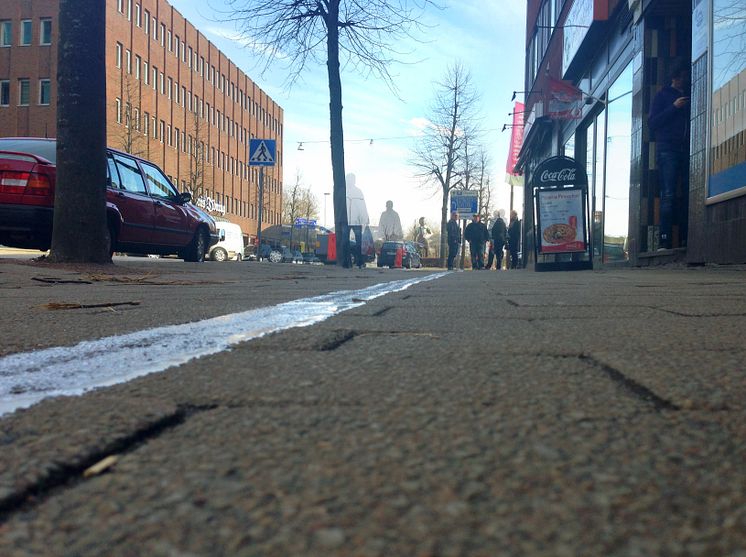 Ingen går vilse på Linnémarschen – Sveriges största vandringsevent