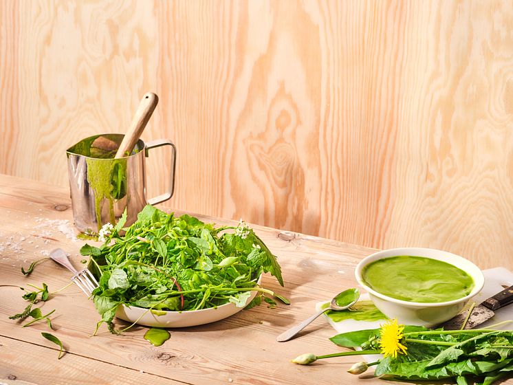 Sallad på primörgrönt med ramslöksdressing (1).jpg
