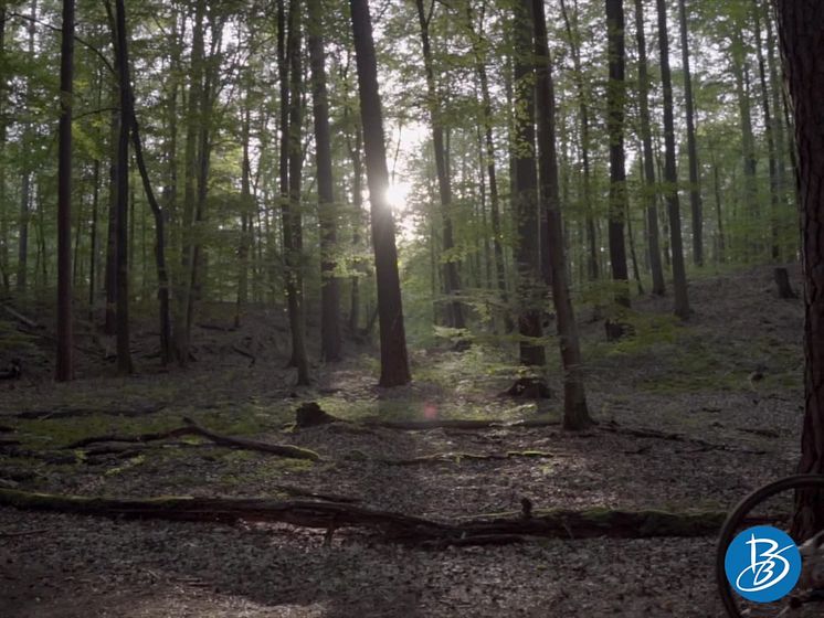 Brandenburg unplugged: Auf dem Rad durch den Herbst
