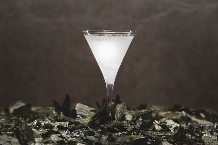 Bombay Gin Journey_2021_Berns Asistiska
