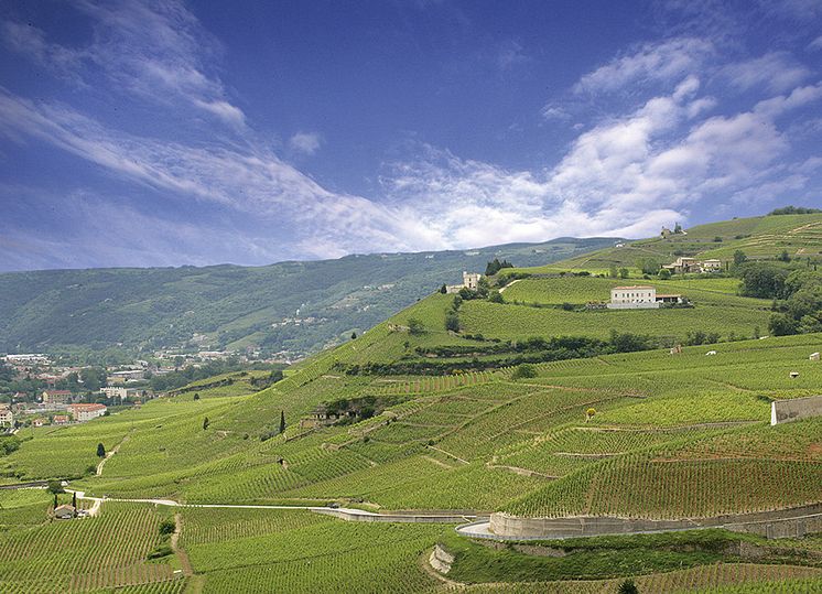 vallee_du_rhone_crop_900x650.jpg