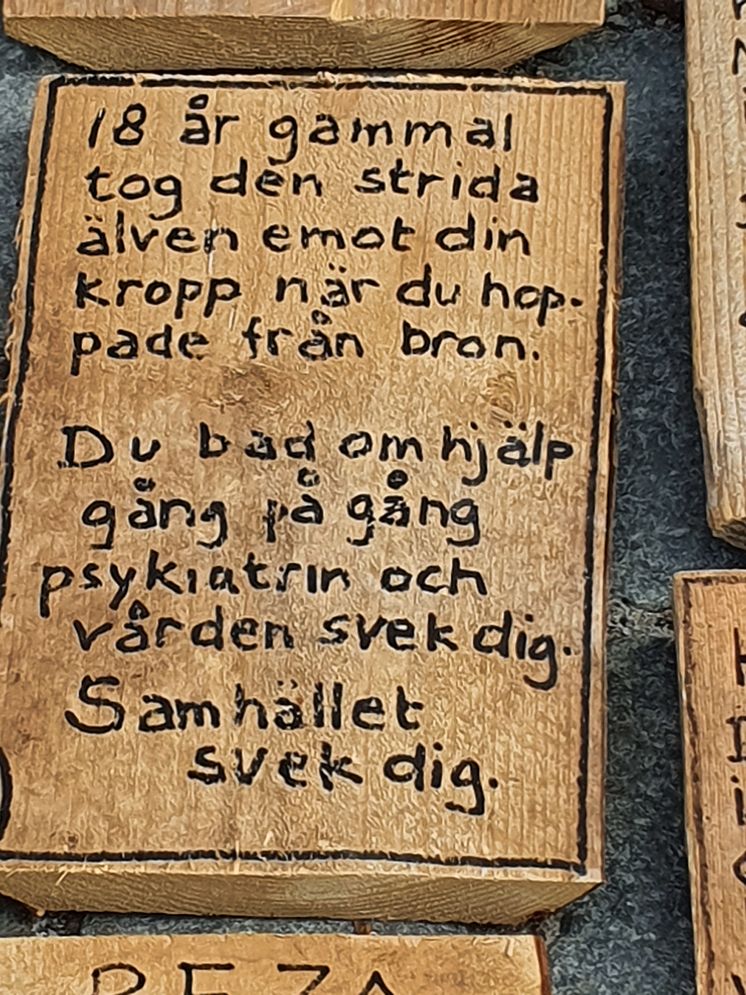 Arton år Ä 2 20220622_154444