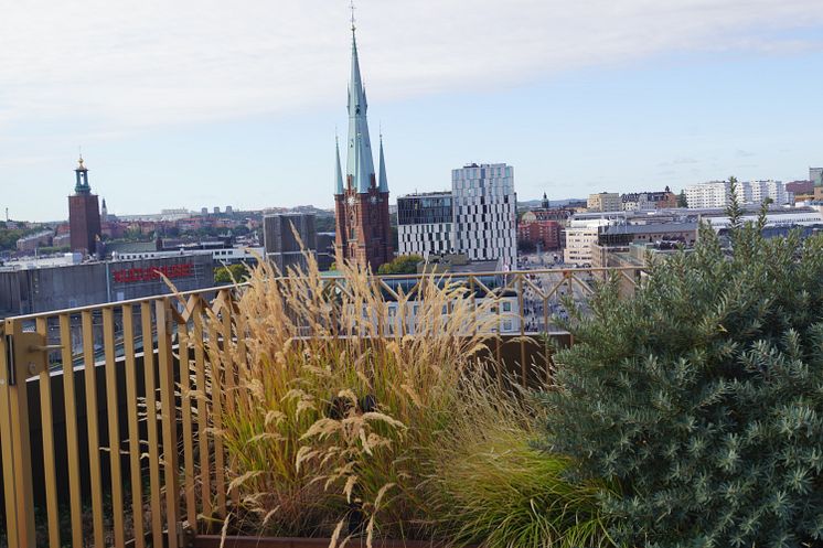 Utsikt Sergelhuset