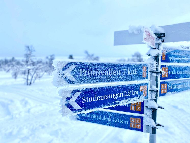 Skidspår-Storhogna-Vemdalen.jpeg