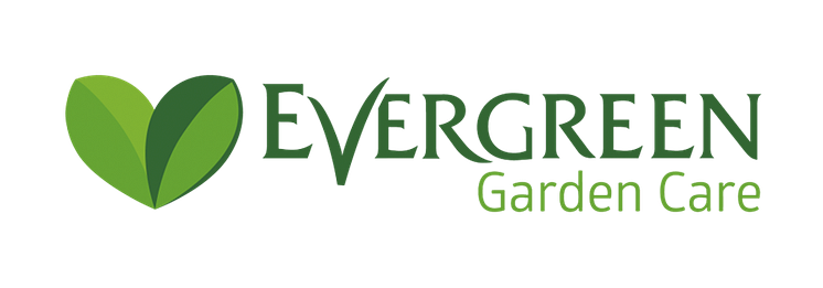 evergreen.png