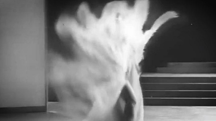 Feathers - reklamfilm