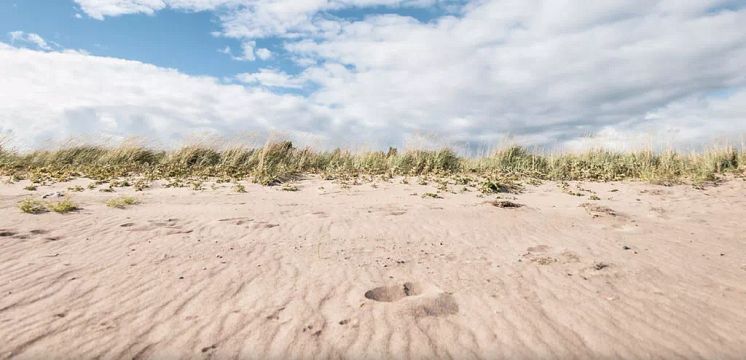 strand-1024x494.jpg.webp
