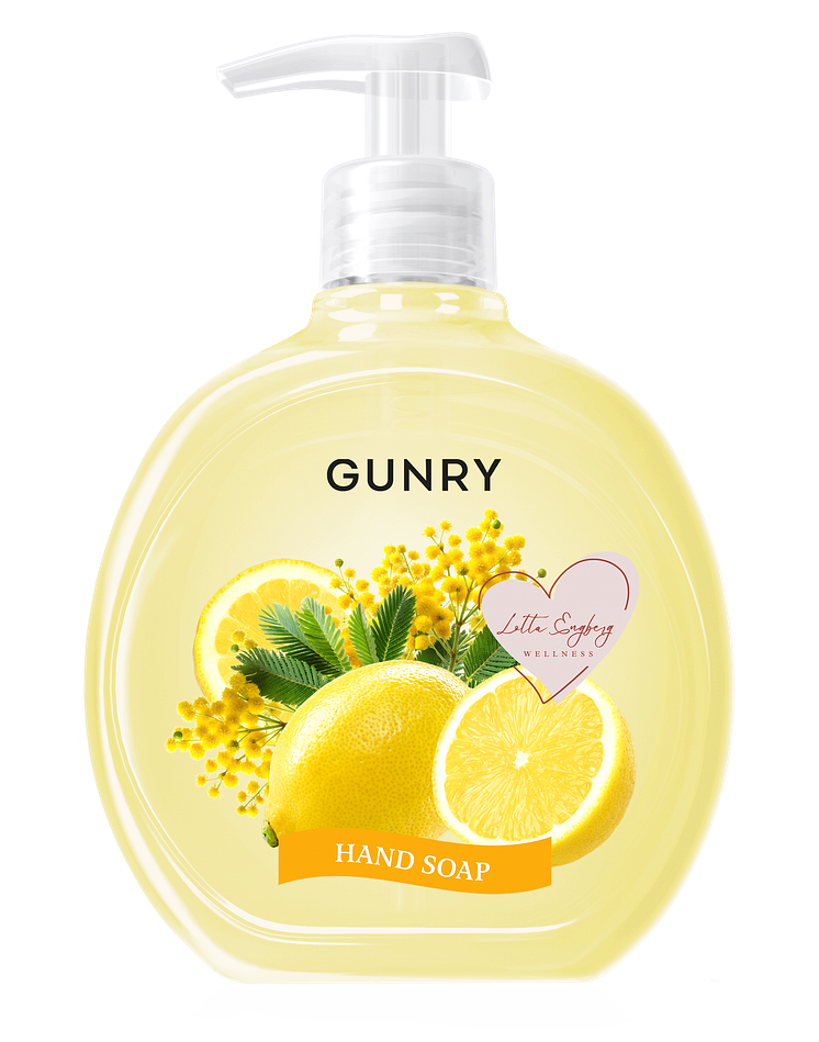 Gunry_SummerEdition-Solstråle.png