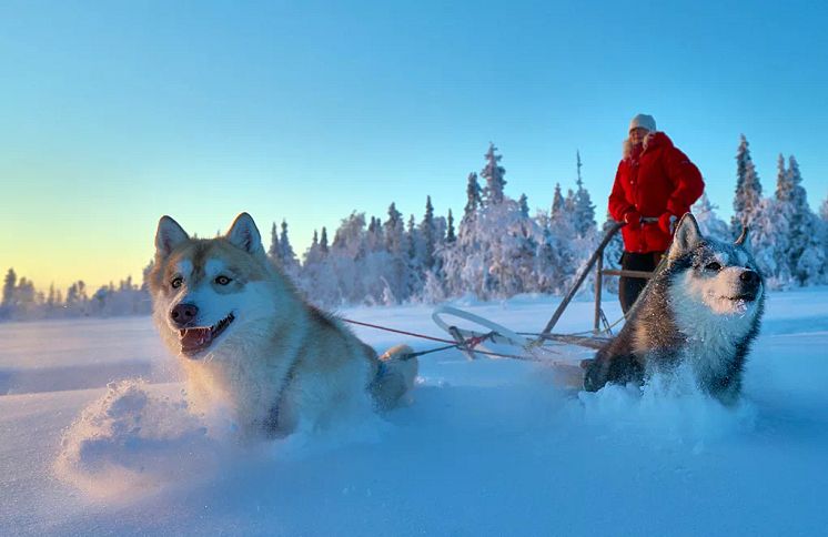 Lapland-Guesthouse-1.jpg.webp