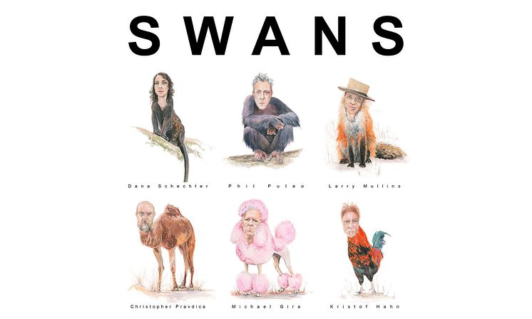 Swans-vega-web