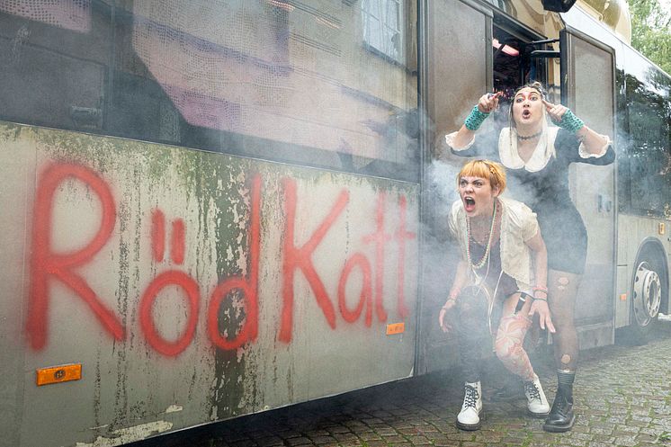 RÖD KATT_foto Sara P Borgström_6