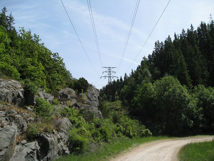 IMG_0708 (2)