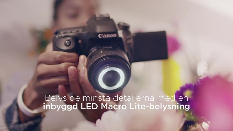 Video EF-S 35mm f2.8 Macro IS STM