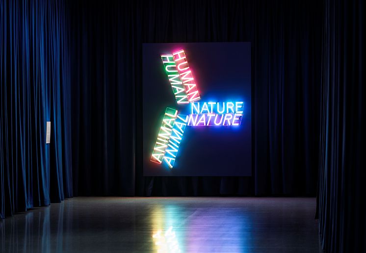 Søylerommet Bruce Nauman, Human Nature, 1983