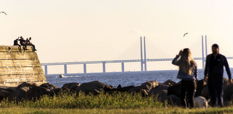 Västra Hamnen, Malmö, Riksbyggen