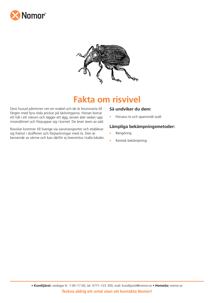 Fakta om risvivel
