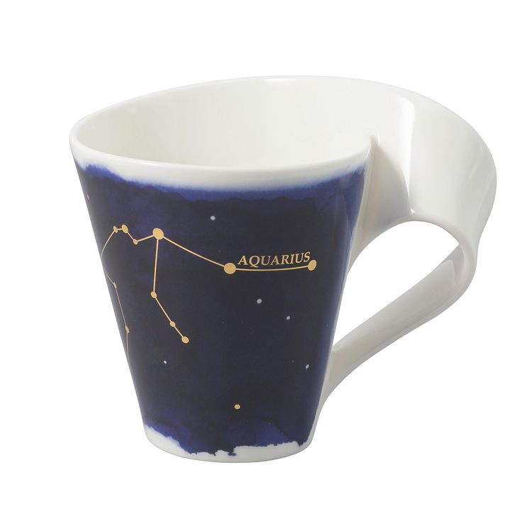 NewWave Stars Aquarius 
