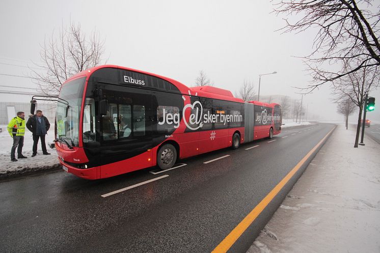 Elbuss linje 31