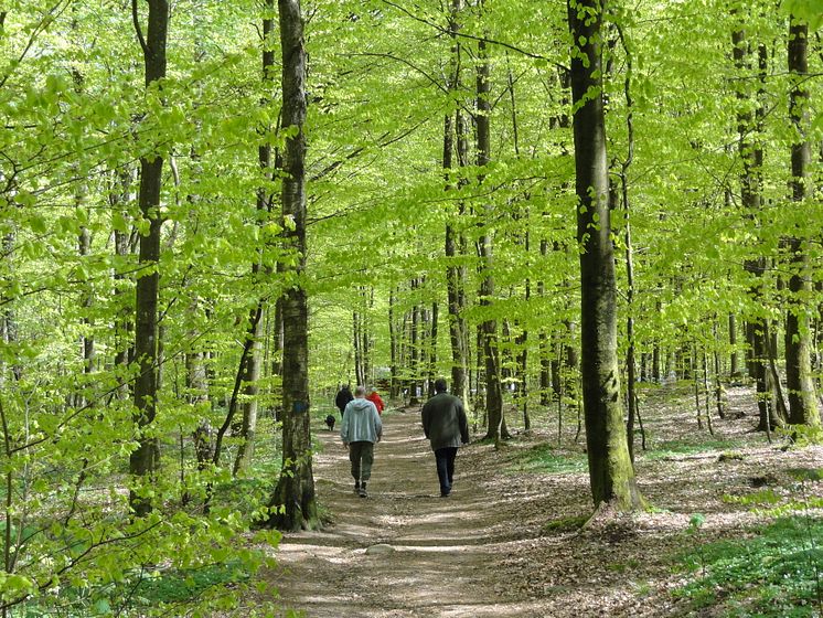 Vårkonferens i Halland