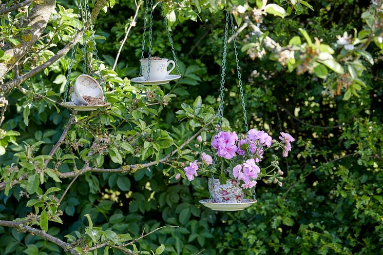 2022_Geraniums_5060_DIY_Blooming_Bird_Feeder_Teacups_07