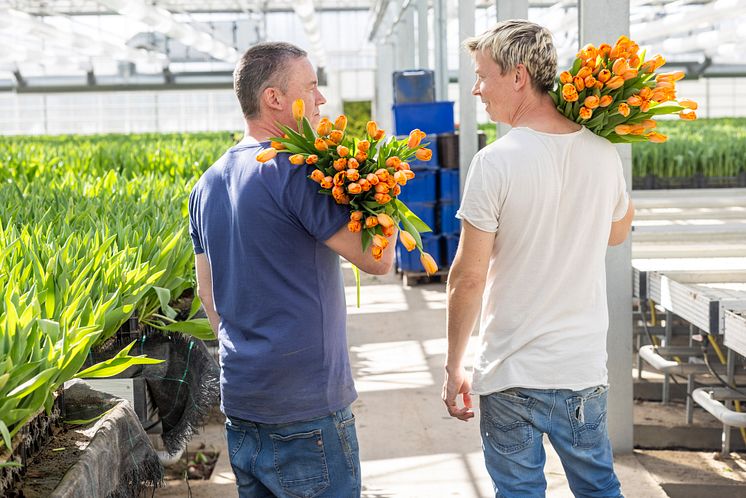 Olles Blommor