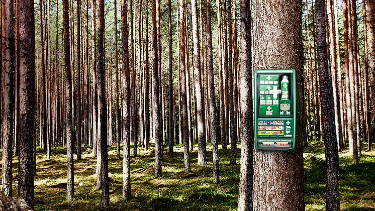 Forest with First Aid Station 2022_16_9.jpg