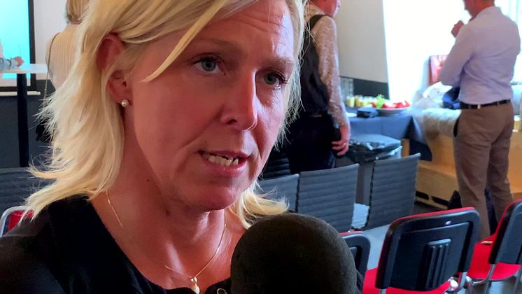Sara Svanlund på Språkprojektets årliga seminarium på Almedalen 2019