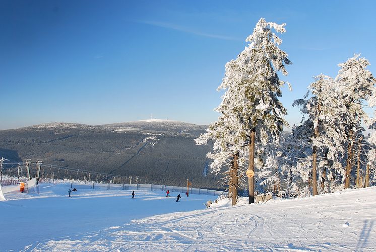 Nordhang mit Brocken