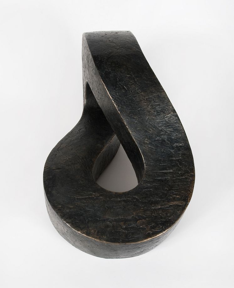 Aase Texmon Rygh, Møbius (liggende), 2013
