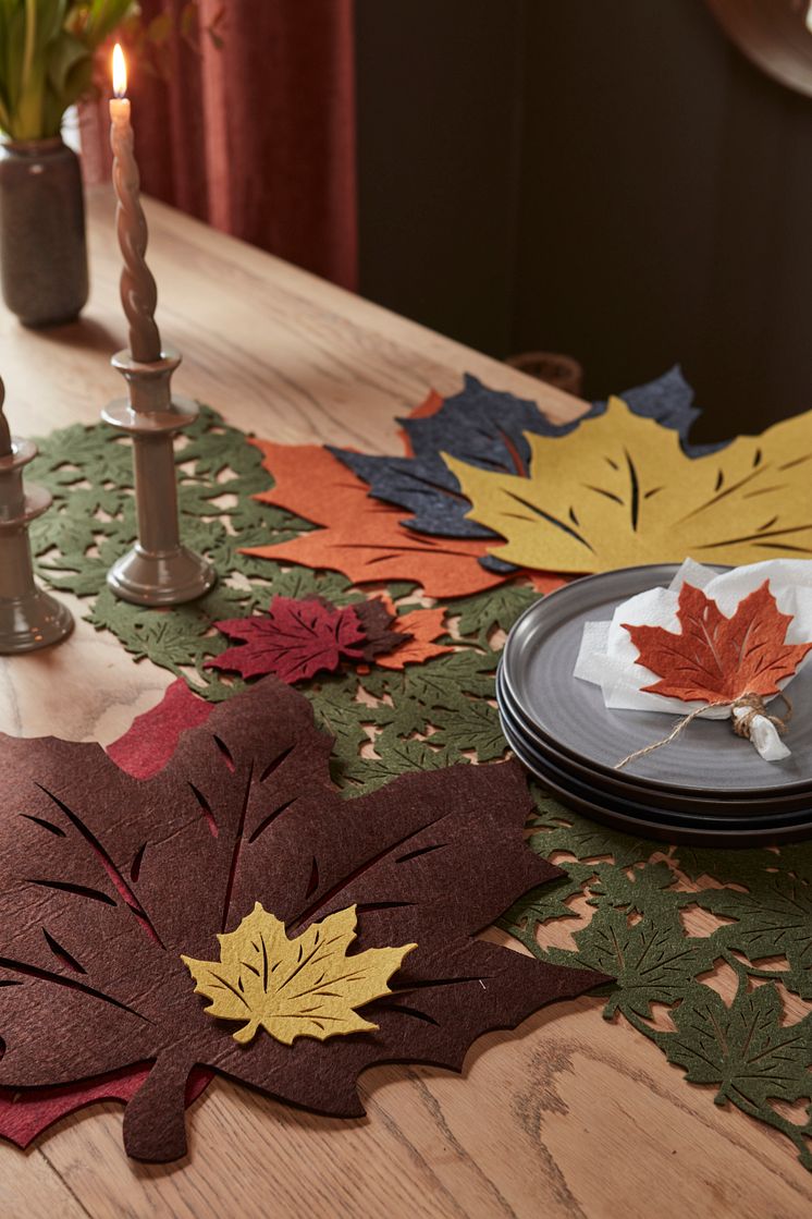 89221-53_1 Place mat Vanja