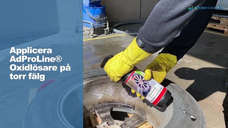 Arom-dekor Kemi, Rengor vinterfalgarna innan forvaring 2020