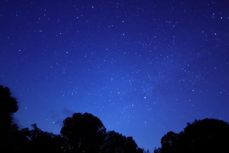 Canon RF20mmF1_4LVCM_StarrySky_With_Filter_Sample_CINC_0O6A0310_DPP[1].jpg