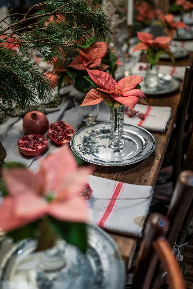 Julstjärna_2023_snitt_dukning_vintage
